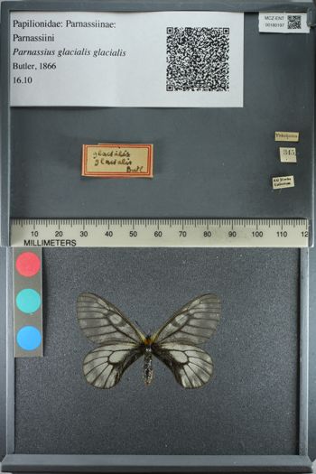 Media type: image;   Entomology 180197